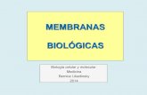 Membranas biologica scd´