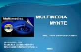 Ensayo multimedios(mynte)