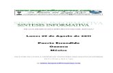Sintesis informativa  2908 2011