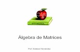 Módulos algebra de matrices (1)