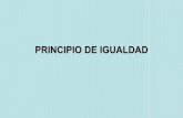 Derecho Constitucional I Chile: Principio de Igualdad