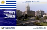 Mudanzas internacionales a Montevideo