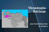 Barinas venezuela presentacion de computacion
