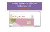 Back Up de Aguapey