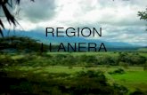 Region llanera