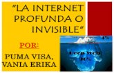 9  internet profunda o invisible - vania-puma-visa