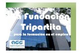La Fundación Tripartita.