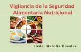 Vigilancia de la seguridad alimentaria nutricional