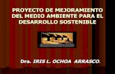 Contaminacion ambiental Iris Ochoa A.