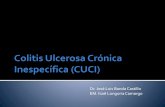 Colitis Ulcerosa Crónica Inespecífica