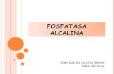 (2012-03-13)Fosfatasa alcalina y enfermedad osea de paget