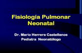 Fisiologia pulmonar neonatal