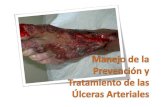 Curso Manejo Ulceras Arteriales