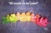 "El otoño es de color" - 3 años A