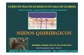 NUDOS QUIRURGICOS. Prof. Dr. Luis del Rio Diez