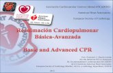 Curso RCP/CPR course 2013