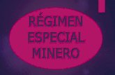 Regimen especial minero