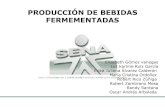 C:\documents and settings\sena\escritorio\presentacion de bebidas_fermentadas