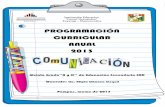 Programación curricular 5° 2013