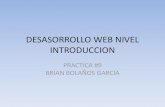 Desasorrollo web nivel introduccion (b.b)