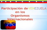 Venezuela y los organismos internacionales