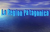 La region patagonica