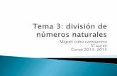Tema 3: Divisiones de números naturales