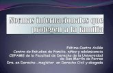 Dra. Fatima Castro - Normas internacionales que protegen a la familia