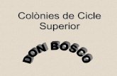 Colonies Cicle Superior