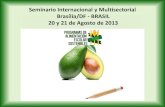 Estudio Panorama de la Alimentación Escolar y Posibilidades de Compra Directa de la Agricultura Familiar: estudio de caso en 8 países de América Latina - proyecto GCP/RLA/180/BRA