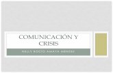 Comunicación y crisis