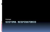 Sistema Respiratorio Fisiologia