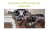 Grandes extinciones de especies