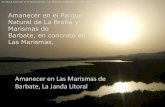 Reporte Fotografico: Amanecer en el Parque Natural de Las Marismas de Barbate!!!