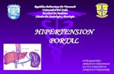 Hipertension portal tema completo y consiso