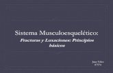Sistema Musculoesqueletico: Fracturas y Luxaciones