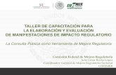 La Consulta Pública como herramienta de Mejora Regulatoria, Julio Rocha