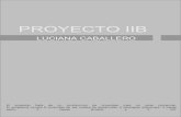 Presentacion Proyecto IIB