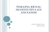 TERAPIA RENAL SUSTITUTIVA EN ANCIANOS. DR CASTILLO