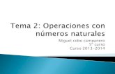 Tema 2:Operaciones con números naturales.