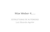 Max weber 4