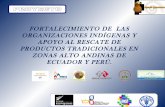Fortalecimiento de las organizaciones indígenas y apoyo al rescate de productos tradicionales en zonas alto andinas de Ecuador y Perú