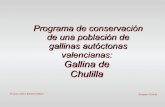 Conservación de la Gallina de Chulilla