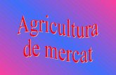 Agricultura De Mercat
