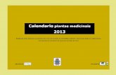 Calendario plantas medicinais