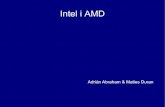 Processadors Intel i AMD