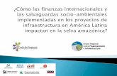 ¿Cómo las finanzas internacionales y las salvaguardas socio-ambientales implementadas en los proyectos de infraestructura en América Latina impactan en la selva amazónica?