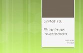Unitat 10. els animals invertebrats