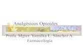 analgésicos opioides-medicina