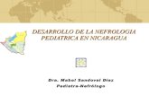 Desarrollo de nefrologia nic1